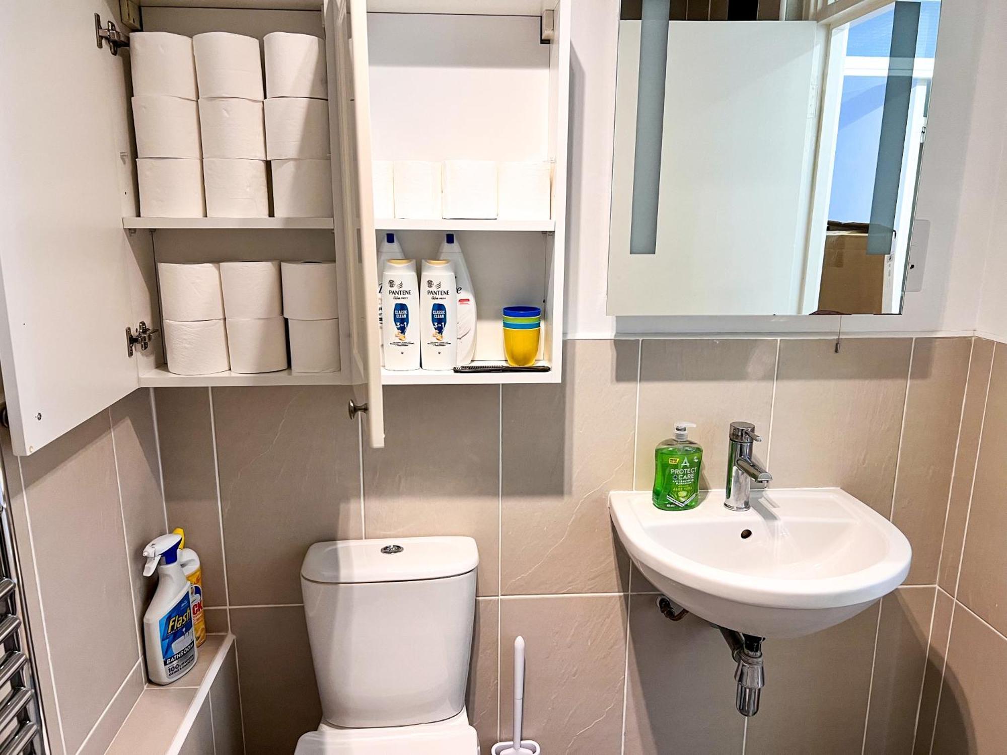 Great River Thames View Entire Apartment In The Most Central London Exterior foto